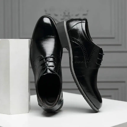 Zapatos de vestir con punta de ala Roma - Piel sintética de primera calidad